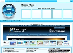 Wp-Theme Hosting Platino