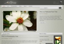 En İyi 10 WordPress E-ticaret Teması