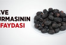 Acve Hurmasının faydaları nelerdir-Acve Hurmasının faydaları