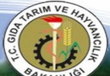 Gıda, Tarım ve Hayvancılık Bakanlığı Sözleşmeli Bilişim Personeli Alımı