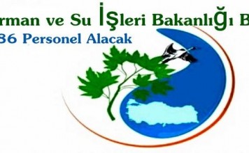 Orman ve Su İşleri Bakanlığı Personel Alımı 2012
