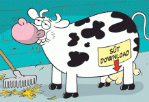 Okullarda süt dağıtımı ne zaman yapılacak?