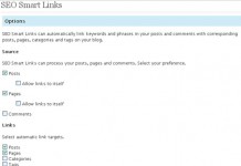 Seo Smart Links Business Ayarları Nasıl Yapılır?