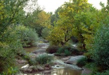 Ballıkayalar Kanyonu-Ballıkayalar Kanyonu Nerede