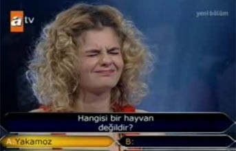 Kim Milyoner Olmak İster Serpil Kanat