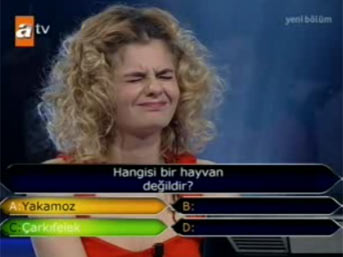 kim-yarisma2