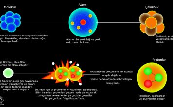 Higgs Bozonu nedir?