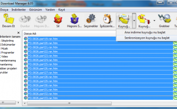 İnternet Download Manager Sırayla Linkleri İndirme