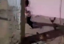 Civciv yem, çocuk can derdinde