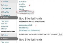 WordPress Empty Tags Remover Eklentisi