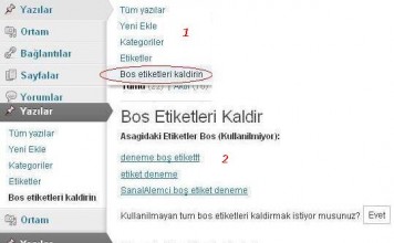 WordPress Empty Tags Remover Eklentisi
