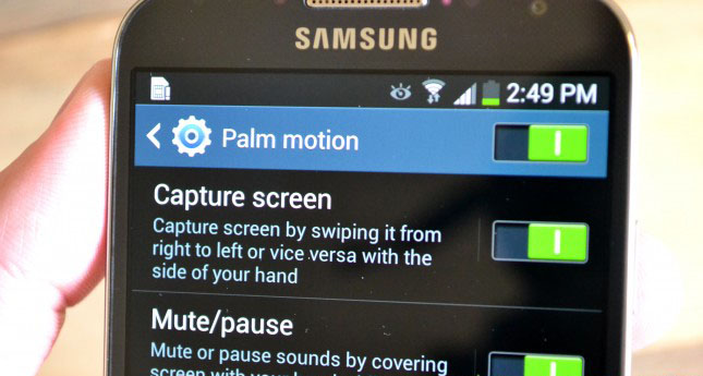 palm_ekran_görüntüsü