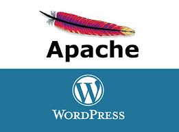 localhost_wampserver_çalıştırmak