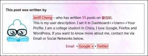 8-author-box-after-posts_thumb-500x189