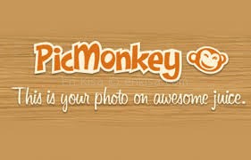 Picmonkey_resim_düzenleme