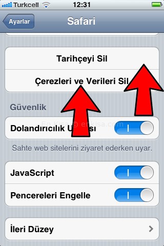 Iphone 8 Plus safari geçmişi görme