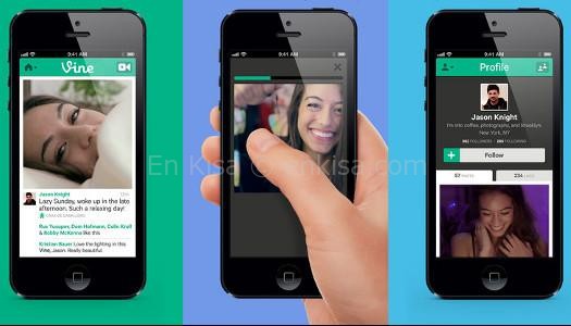 vine2_4674