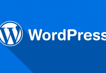 WordPress Şifre Sıfırlama