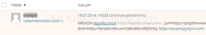 wordpress-silinmeyen-yorum