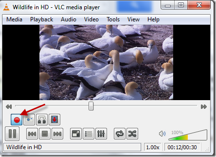 vlc-video-kirpma2