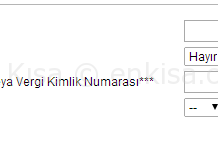 Araç Borç Sorgulama Nasıl Yapılır?