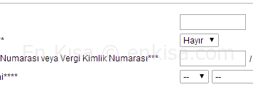 Araç Borç Sorgulama Nasıl Yapılır?