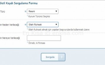 E-Devlet Adli Sicil Kaydı Sorgulama Nasıl Yapılır
