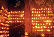 Mum Nasıl Yapılır?