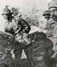 Manda ve Himaye Nedir?