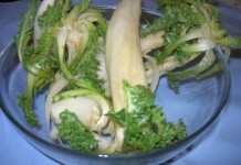 Alabaş Otu Nedir? Zararları Nelerdir?