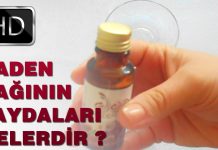 Badem Yağı Kreminin Cilde Etkileri Nelerdir?