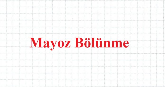 Mayoz Bölünme Nedir