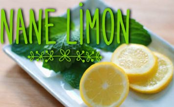 Nane Limon Nasıl Yapılır ve Faydaları Nelerdir?