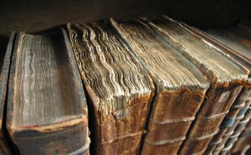 Olgu ve Görüş Kelimeleri Nelerdir? Örnekler Verir Misiniz?