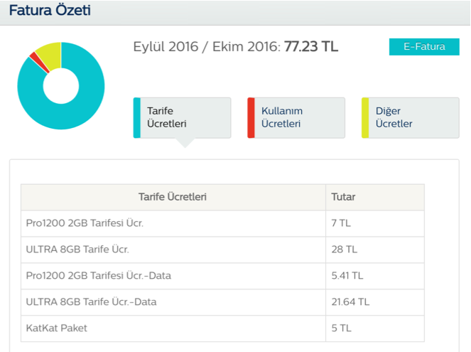 mSpy nedir?