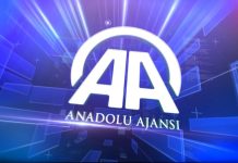 Anadolu Ajansı (AA) Whatsapp İhbar Hattı Numarası