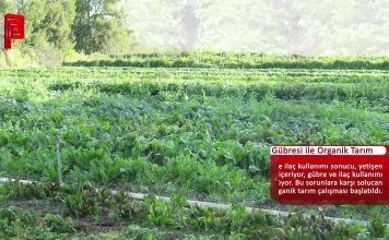 Organik Tarım Nedir? Nasıl Yapılır?