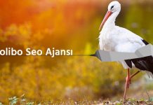 Seo Hizmeti Nedir? Ne İşe Yarar?