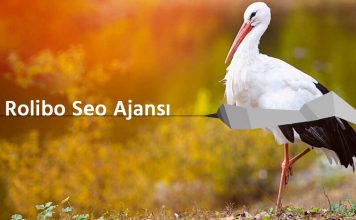 Seo Hizmeti Nedir? Ne İşe Yarar?