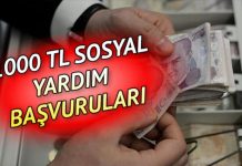 E-devlet ile 1000 TL sosyal yardım başvurusu nasıl ve nereden yapılır?