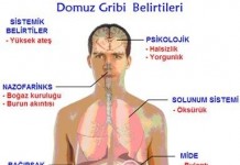 Domuz Gribi Belirtileri