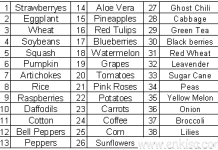 Farmville Sebze Rehberi