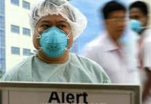 Domuz gribinden korunmak için 6 etkili yöntem