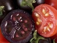 Mor Domates Kansere İlaç