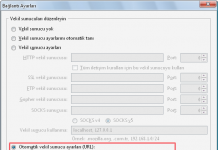Yasaklı tüm sitelere program kullanmadan girebilmek !
